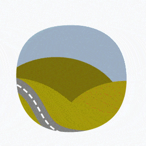 Reels